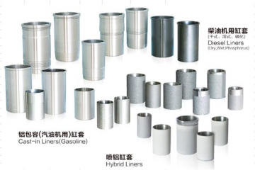 娄底帝伯格茨缸套有限公司